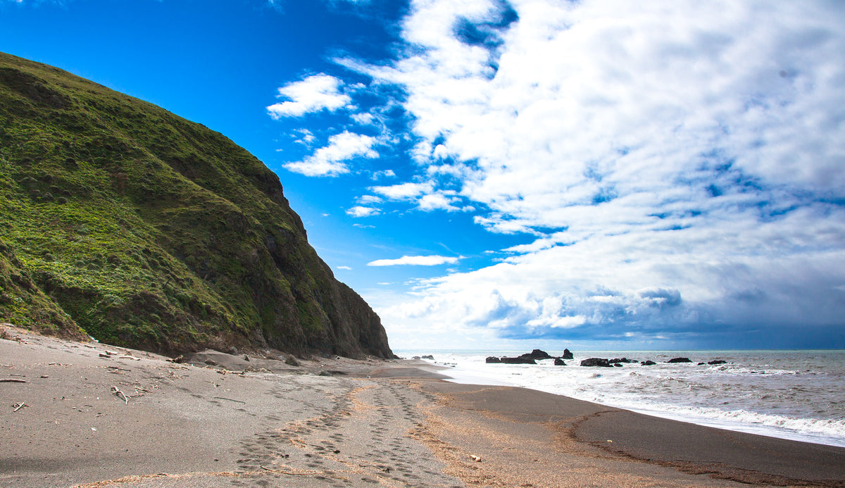 Rugged coastline of the King Range National Conservation Area near Mattole on California's Lost Coast. Photo: Jesse Pluim, BLM (public domain)
