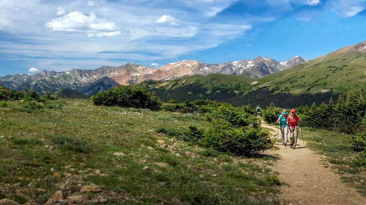 Two people moving along a vegetation-lined alpine trail on a sunny day, Rocky Mountain National Park. NPS photo