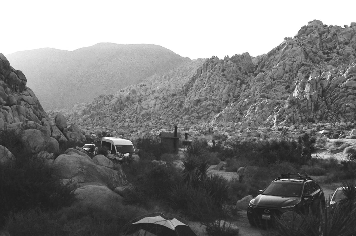 Joshua trees and granite boulders in the Mojave Desert at golden hour