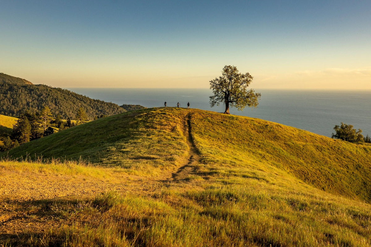 Hikers on a California coastal trail at golden hour, ocean behind them, forested mountains to the left