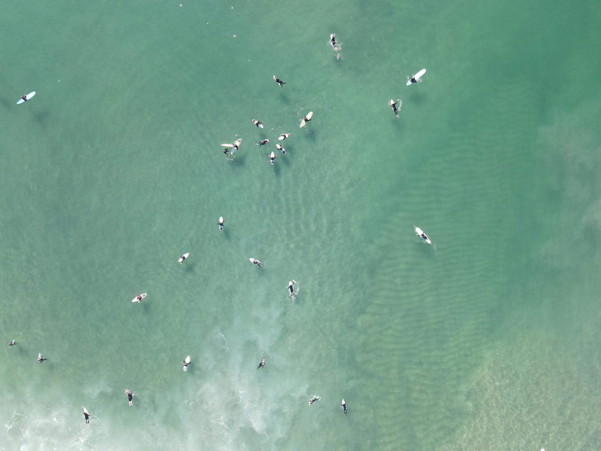 Aerial view of surfers in a lineup at a California surf break — LLRULE TERRAIN