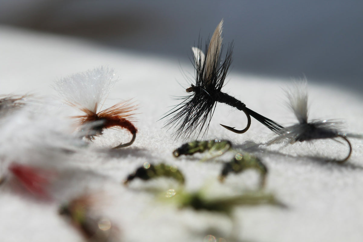 Assortment of hand-tied fly fishing patterns laid out for selection